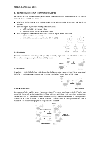 Tema-5.pdf