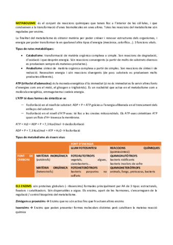 Tema-9.pdf