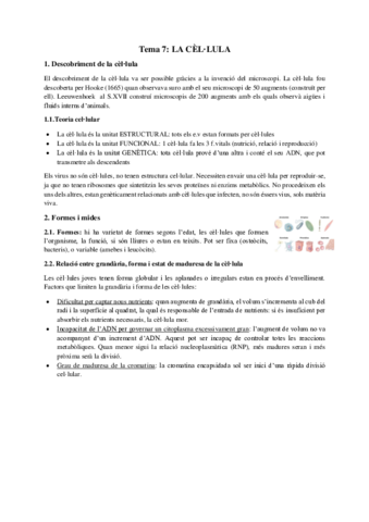 Tema-7.pdf