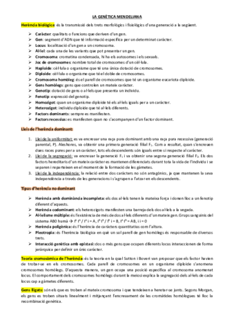 Tema-13.pdf