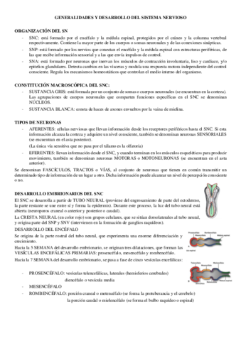 T1-ANATO-II.pdf