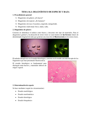 Tema-16.pdf