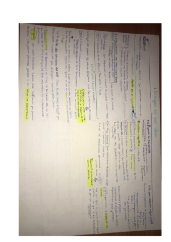 6.pdf