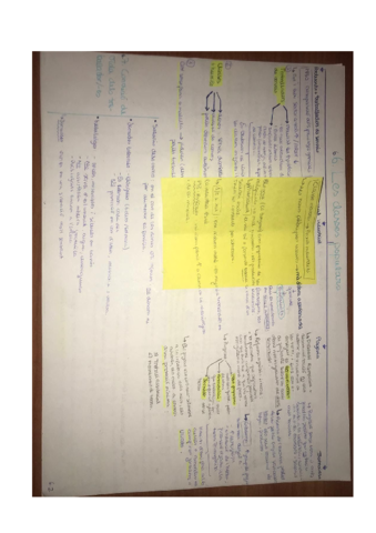 Les-classes-populars.pdf