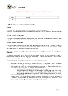 Examen OGP  TEORIA (sin fecha).pdf