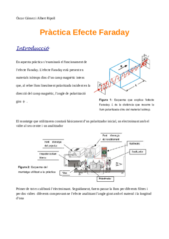 Informe-Efecte-Faraday-Albert-Ripoll-i-Oscar-Gomez.pdf