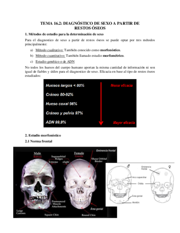 Tema-16.pdf