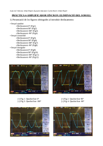 AlbertRipoll16668245P4.pdf