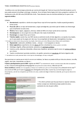 HDalta-Antonio-caballero.pdf
