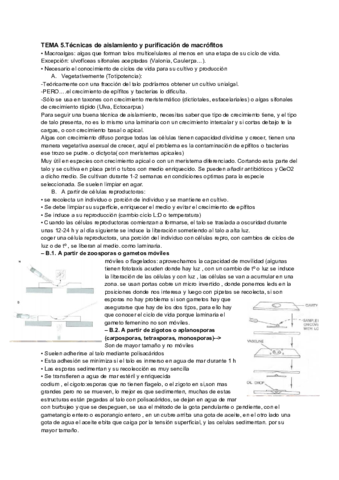 TEMA-5.pdf