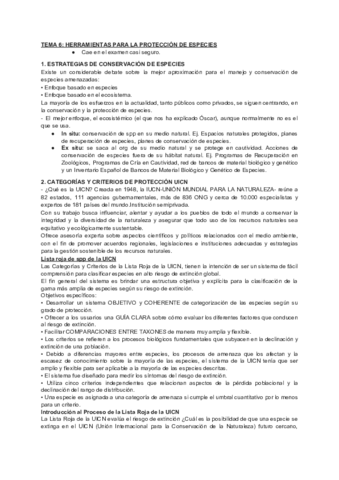 TEMA-6.pdf