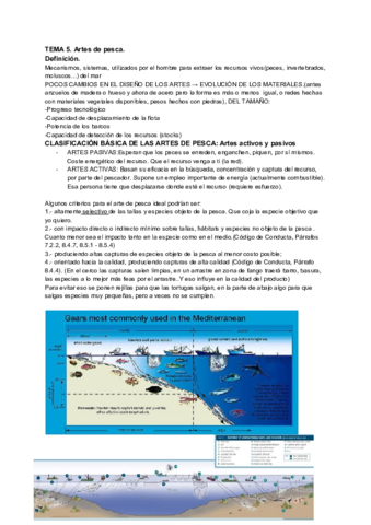 TEMA-5.pdf