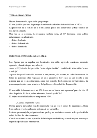 Derecho-Penal-P.pdf