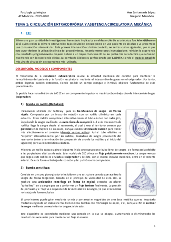 Tema-1-CEC-y-ACM.pdf