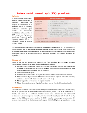 2-SICA-IAM.pdf