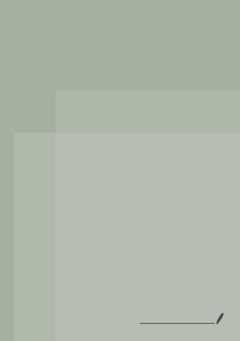 Morfosintaxis-Ejercicios.pdf