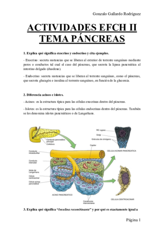 ACTIVIDADES-EFCH-II-TEMA-PANCREAS.pdf