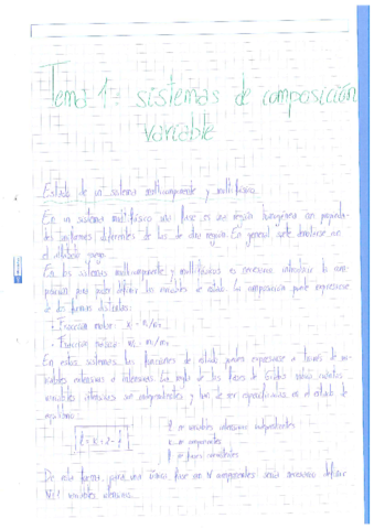 Termodinámica química.pdf