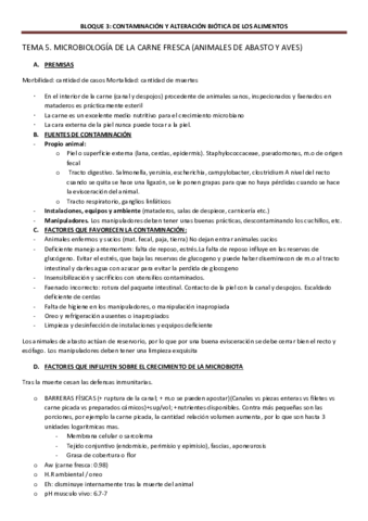 TEMA-5.pdf