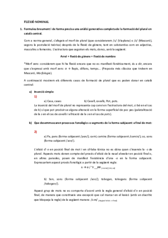 Examen-Flexió-nominal.pdf