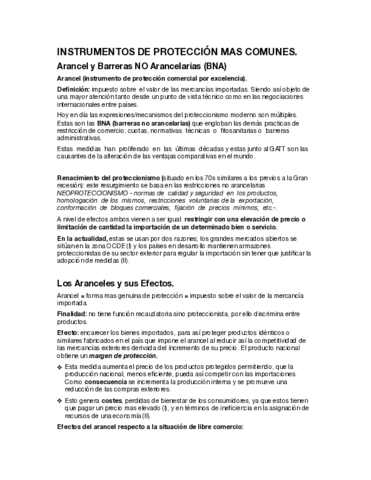 CEX-2-INSTRUMENTOS-DE-PROTECCION-MAS-COMUNES.pdf
