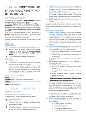 TEMA-16.pdf