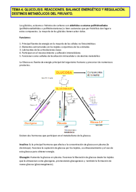 Tema-4.pdf