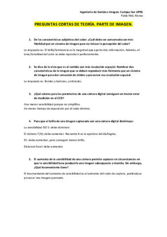 PREGUNTAS-CORTAS-DE-TEORIAIMAGEN.pdf