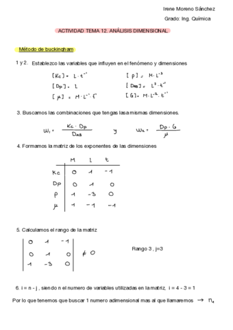 IRENE-MORENO-SANCHEZ-ACT-TEMA-12.pdf