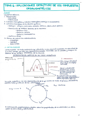 TEMA-6-APLICACIONES-CATALITICAS-DE-LOS-COMPUESTOS-ORGANOMETALICOS-.pdf