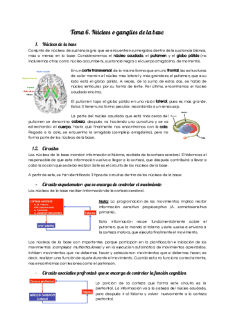 Tema-6.pdf