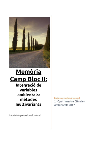 Memoria-Armengol.pdf