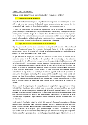 APUNTS-DRET-DEL-TREBALL-I.pdf