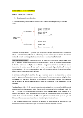 DERECHO-PENAL-SOCIOECONOMICO-parte-1.pdf