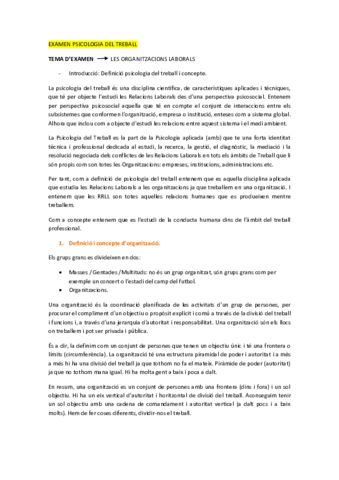 EXAMEN-PSICOLOGIA-DEL-TREBALL.pdf