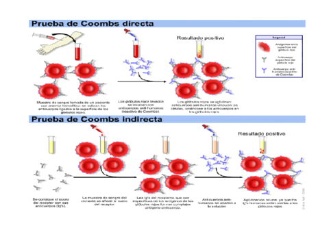 Coombs-Directo-e-Indirecto.pdf