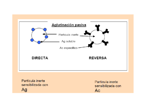 Aglutinacion-Indirecta-o-Pasiva-Directa-o-Inversa.pdf