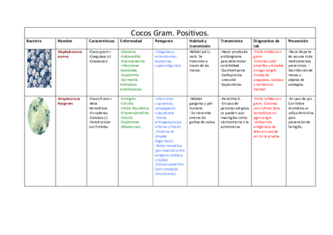 Tabla-Cocos-Gram--y-.pdf