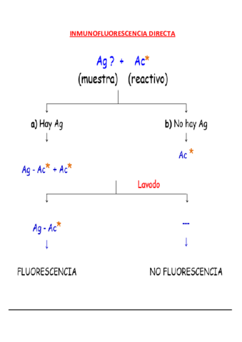 Inmunofluorescencia-Directa-e-Indirecta.pdf