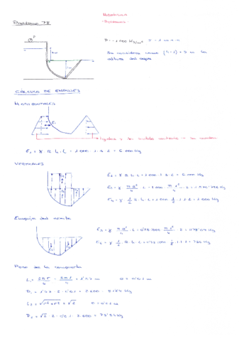 P-78-Hidrostatica.pdf