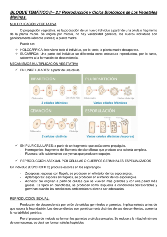 BLOQUE-TEMATICO-II.pdf