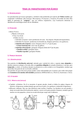 Tema-29-Acaros.pdf