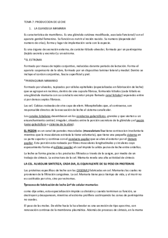 TEMA-7-ANA.pdf