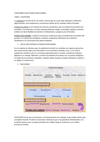 tema1-ANA.pdf