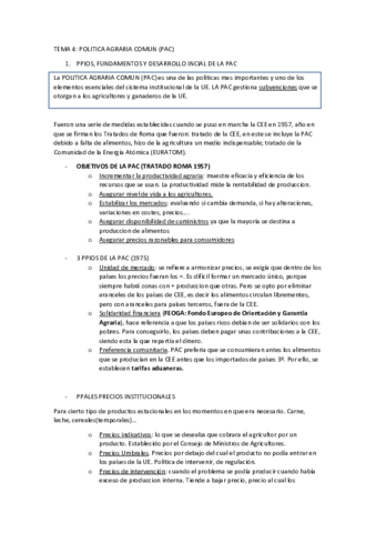 TEMA-4-ANA.pdf