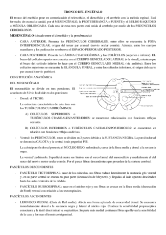 T3-ANATO-II.pdf