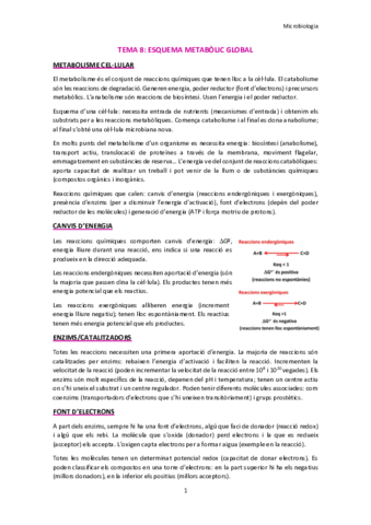 TEMA-8.pdf