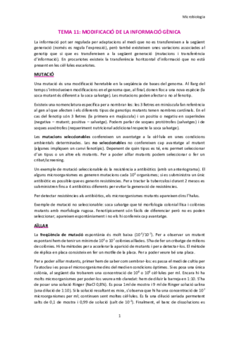 TEMA-11.pdf