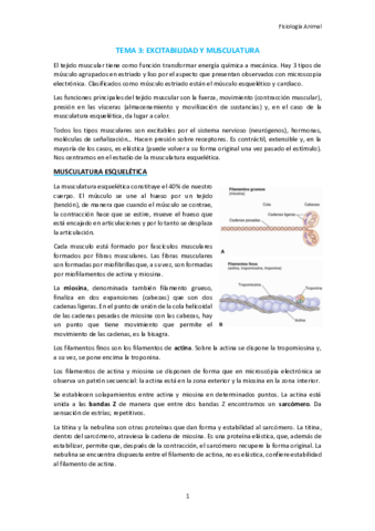 TEMA-3.pdf