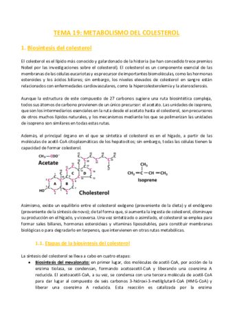TEMA-19-Bioquimica.pdf